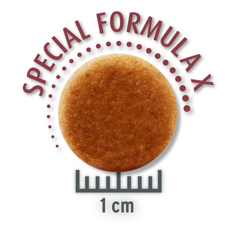Sparpaket Concept for Life zu TOP-Preisen