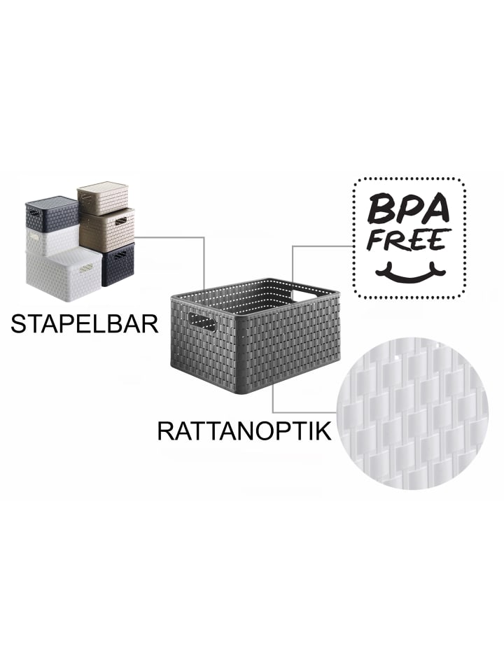 Rotho Country 3er-Set Aufbewahrungskiste 18l in Rattan-Optik in Anthrazit günstig kaufen onesize