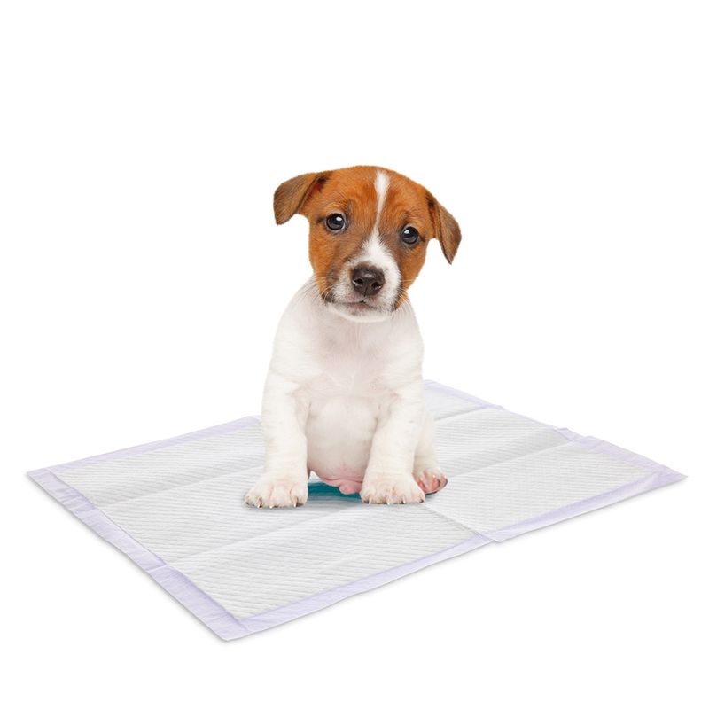 Savic Puppy Trainer Pads mit Lavendelduft