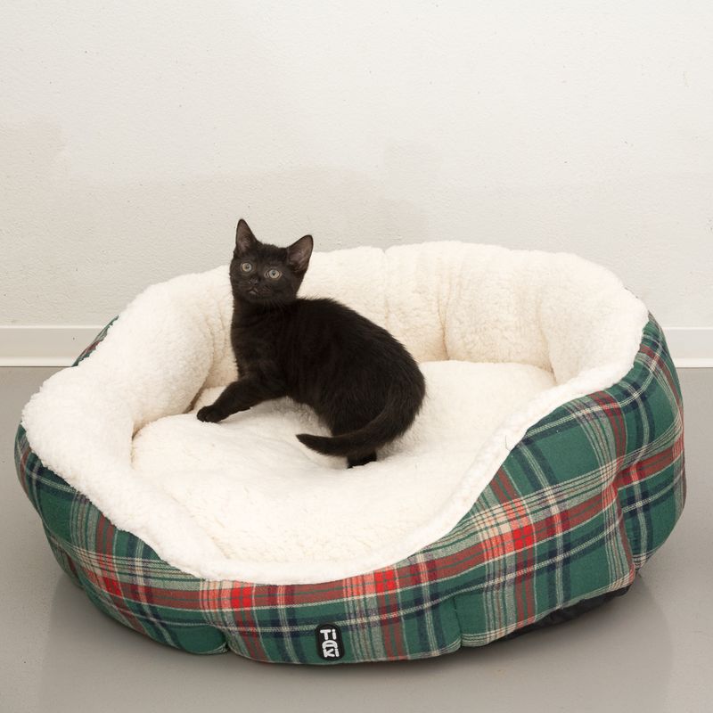 TIAKI Kuschelbett Asher zu TOP-Preisen