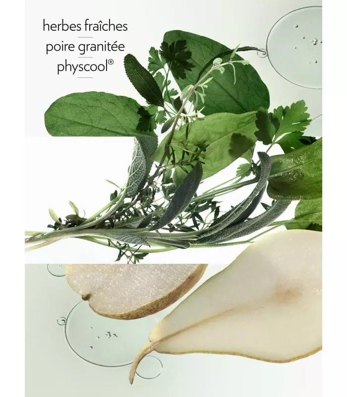 H24 HERBES VIVES Eau de parfum vaporisateur