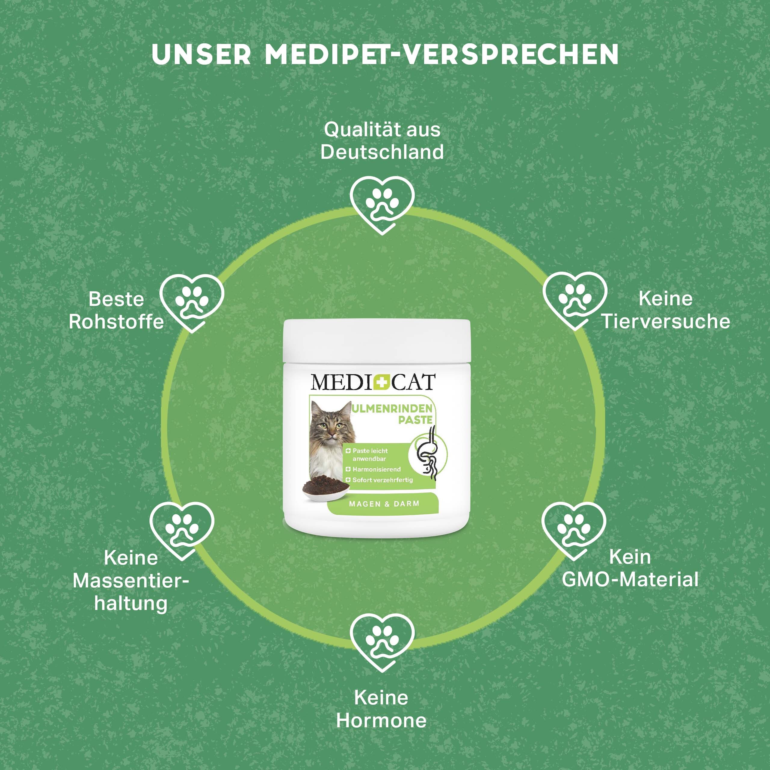 MediCat Ergänzungsfutter & Aufzucht MediCat Ulmenrinde Paste