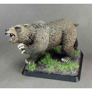 Dire Bear (REA02878)