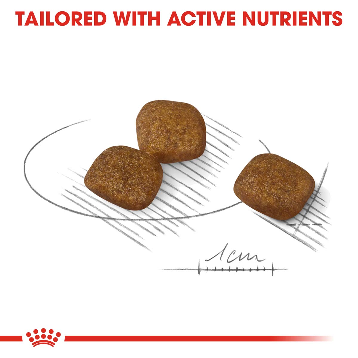 ROYAL CANIN COAT CARE MINI Trockenfutter für kleine Hunde für glänzendes Fell