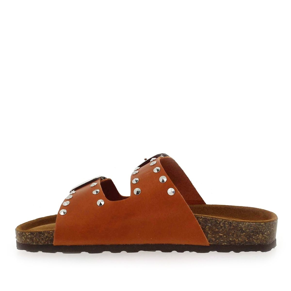 Bio gold  1018 E 96 - Orange