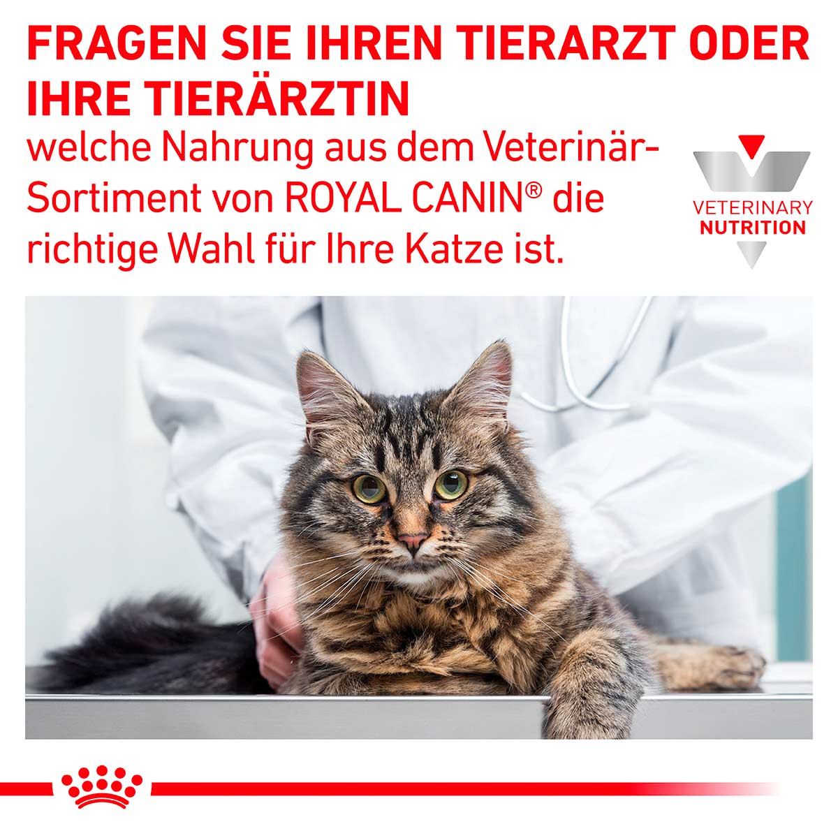 ROYAL CANIN Veterinary GASTROINTESTINAL Trockenfutter für Katzen