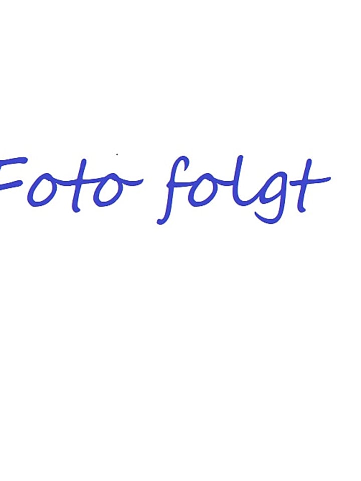Ergobag Schultüte 