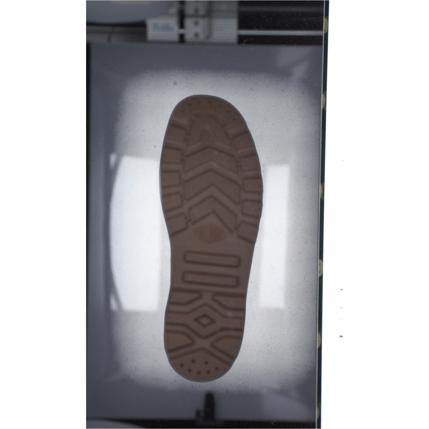Palladium 02352, Stiefeletten, woodlin/beige