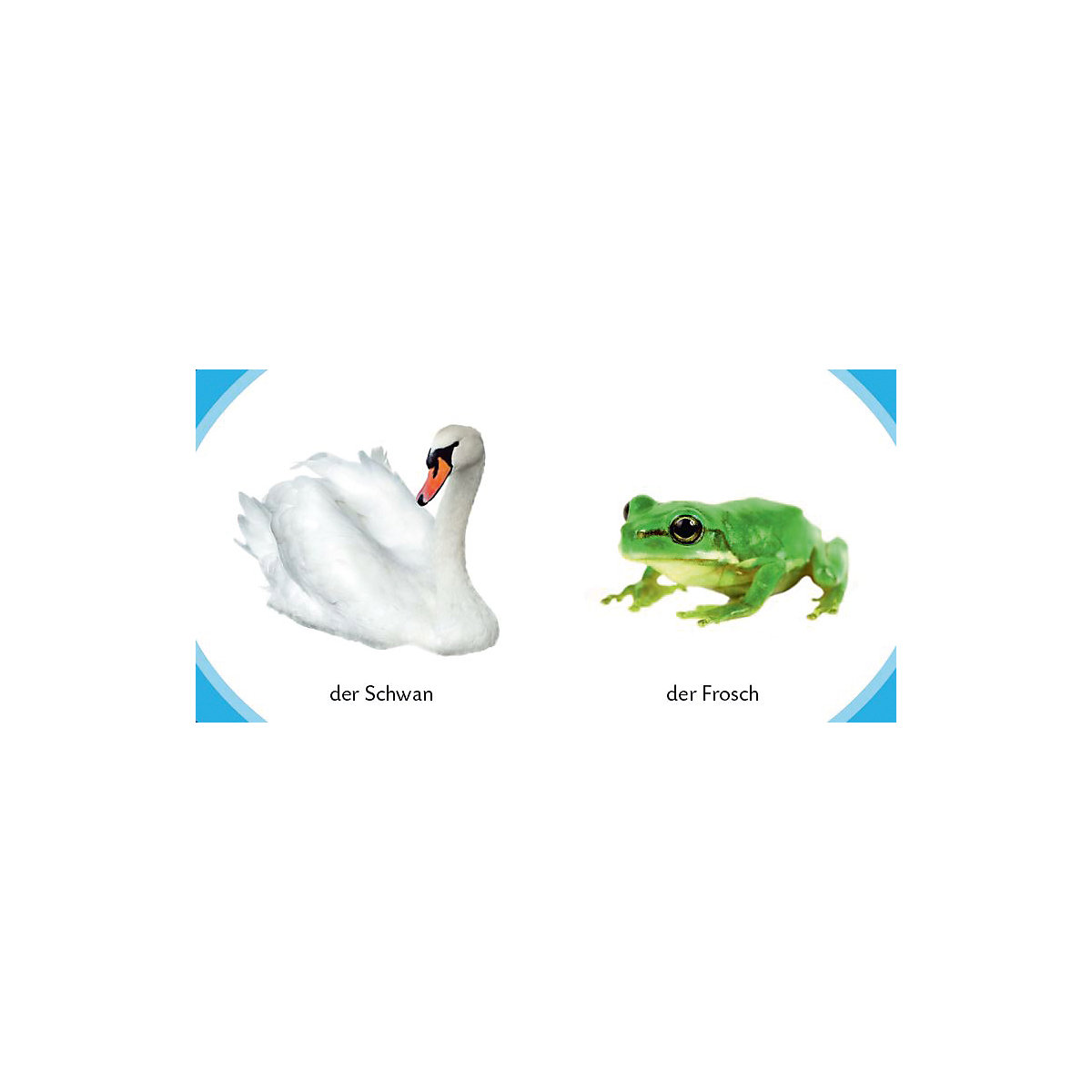 Duden Kennst du das Meine kleine Tierwelt, 6 Bücher