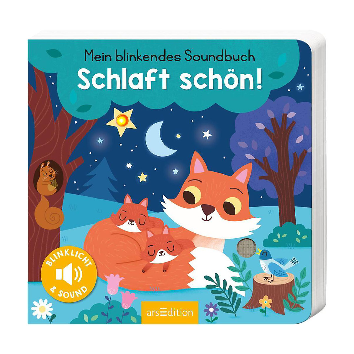 Mein blinkendes Soundbuch - Schlaft schön!