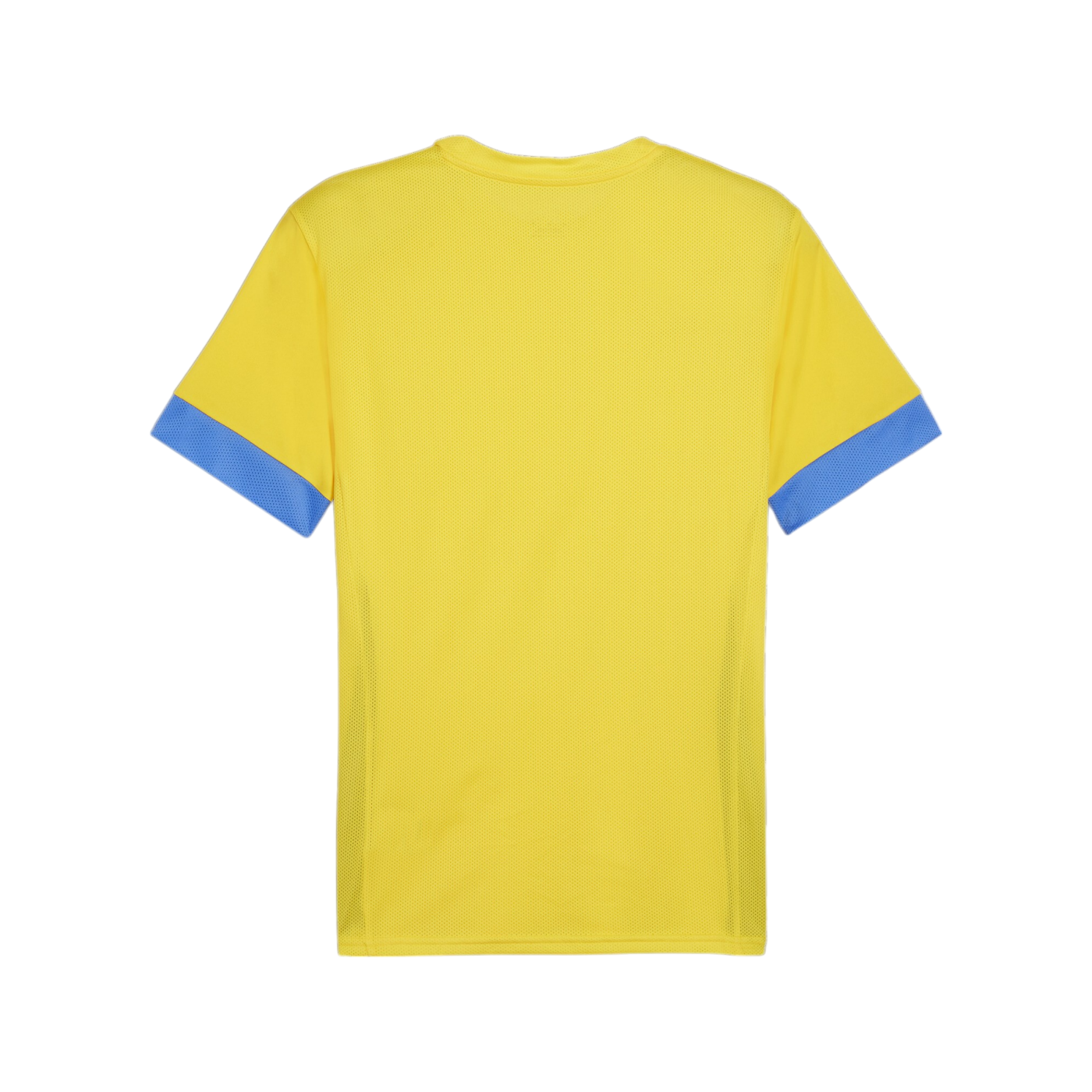 PUMA teamGOAL Matchday Trikot Gelb Blau F17