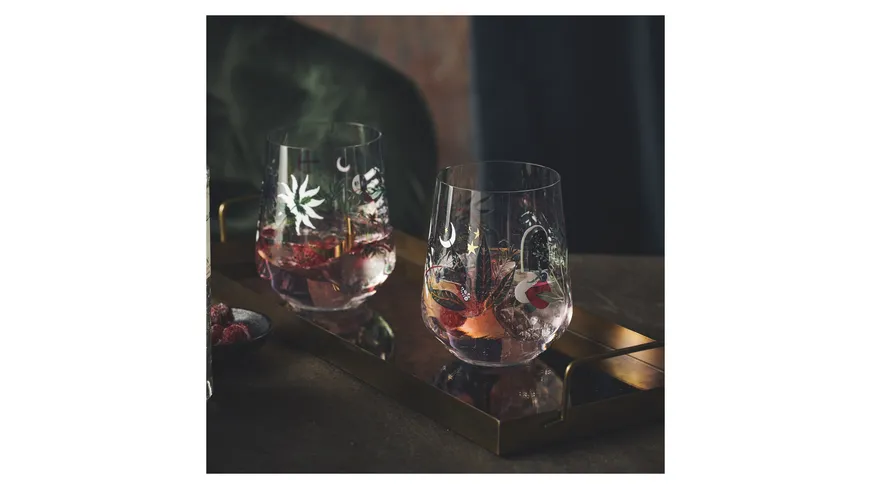 RITZENHOFF Gin-Glas Botanic Glamour Tumbler 2er Set  #7 #8 Good Wives and Warriors 2023 Mehrfarbig