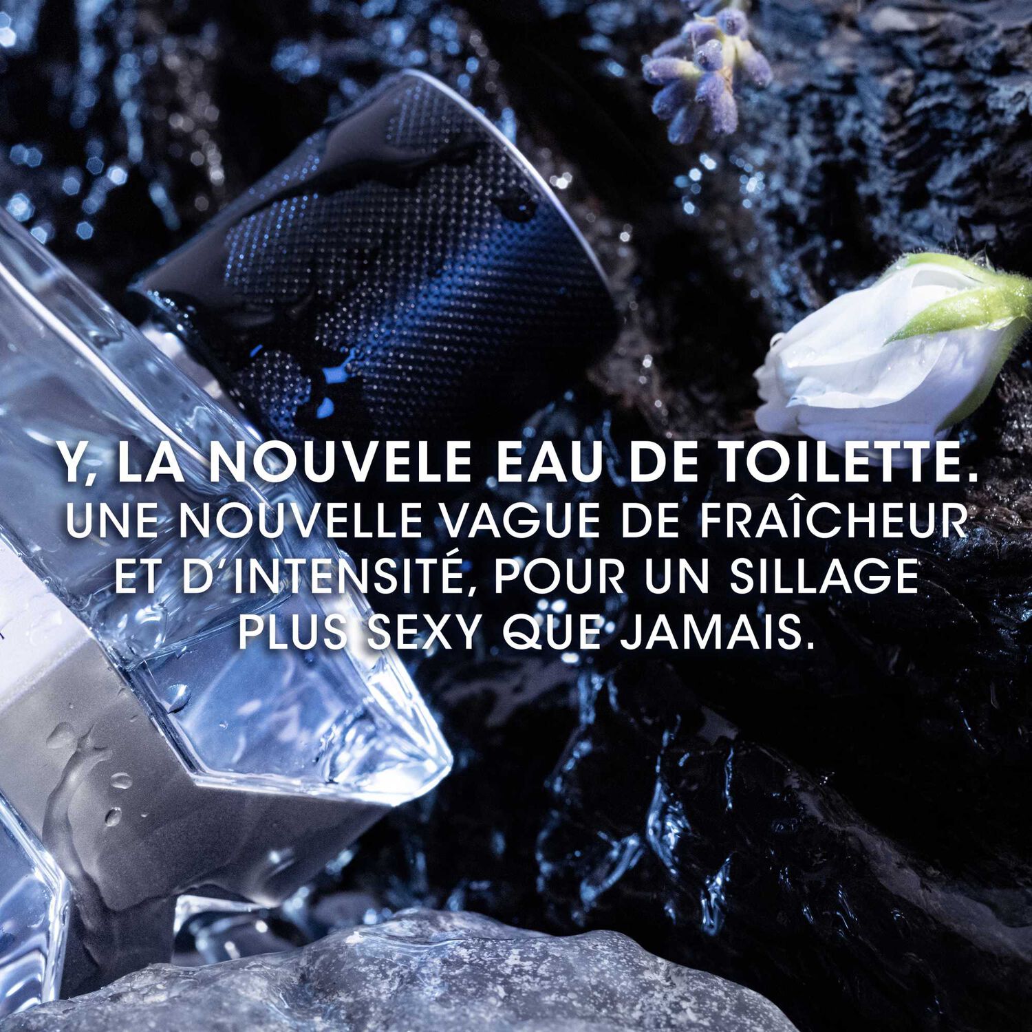 Yves St Laurent Y Eau de Toilette