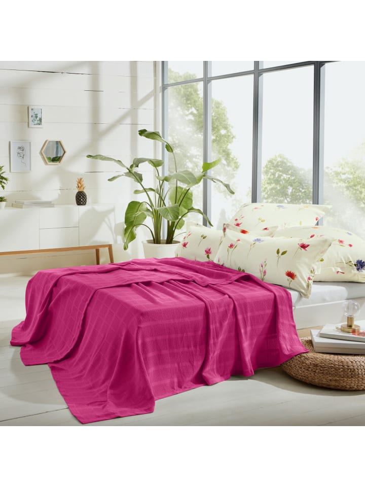 Erwin Müller Baumwolle Sommerdecke Trient in pink günstig kaufen