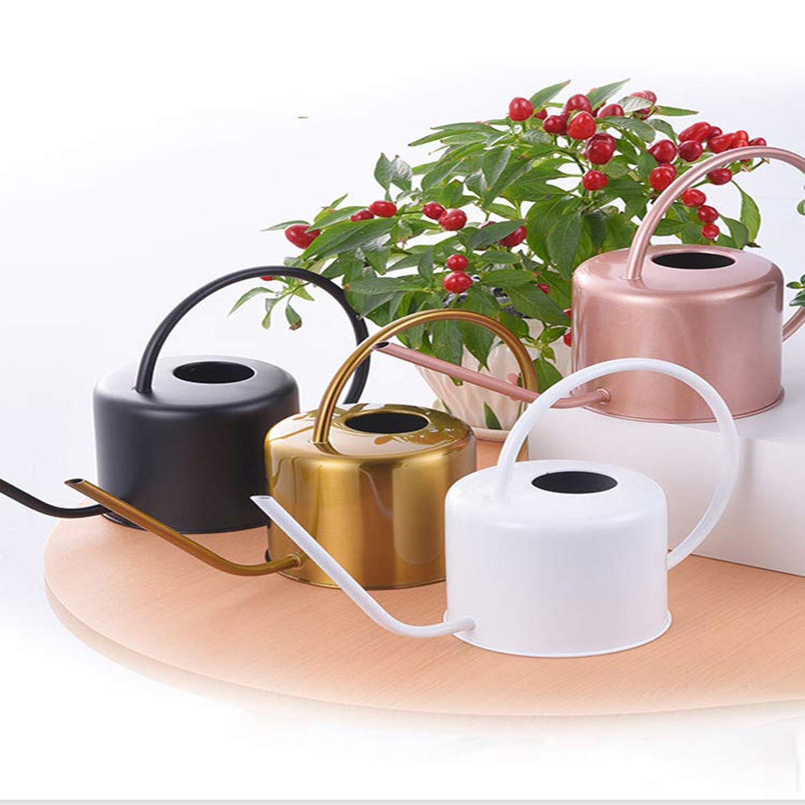 SEEZSSA Gießkanne 1.3l Gießkanne für Zimmerpflanzen Sukkulenten,Innen- und Außenbereich (1,3 Liter), Edelstahl Pflanzen-Gießkanne Klein Gartengießkanne,Blumengießkanne