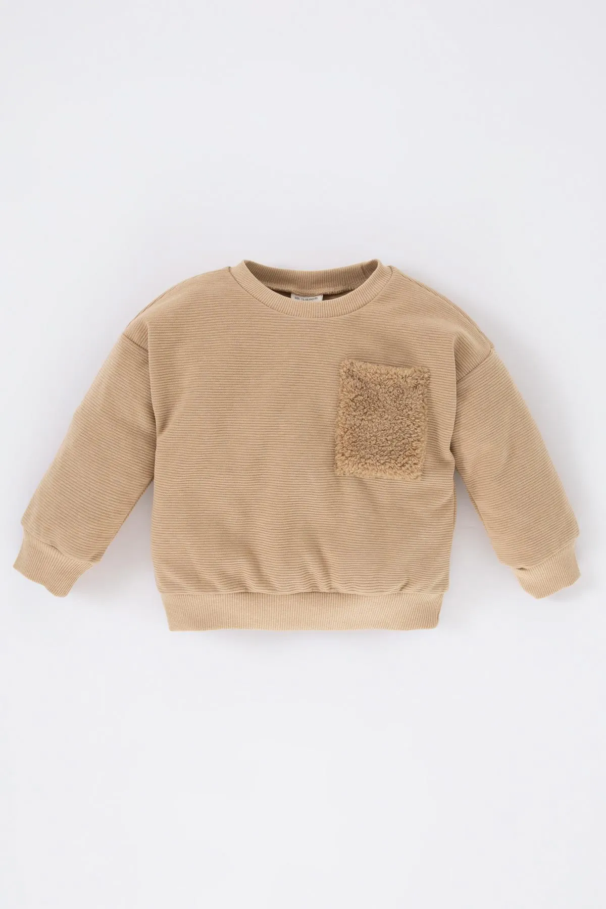 DeFacto  Sweatshirt mit normaler Passform und Rundhalsausschnitt für Babys (Jungen).