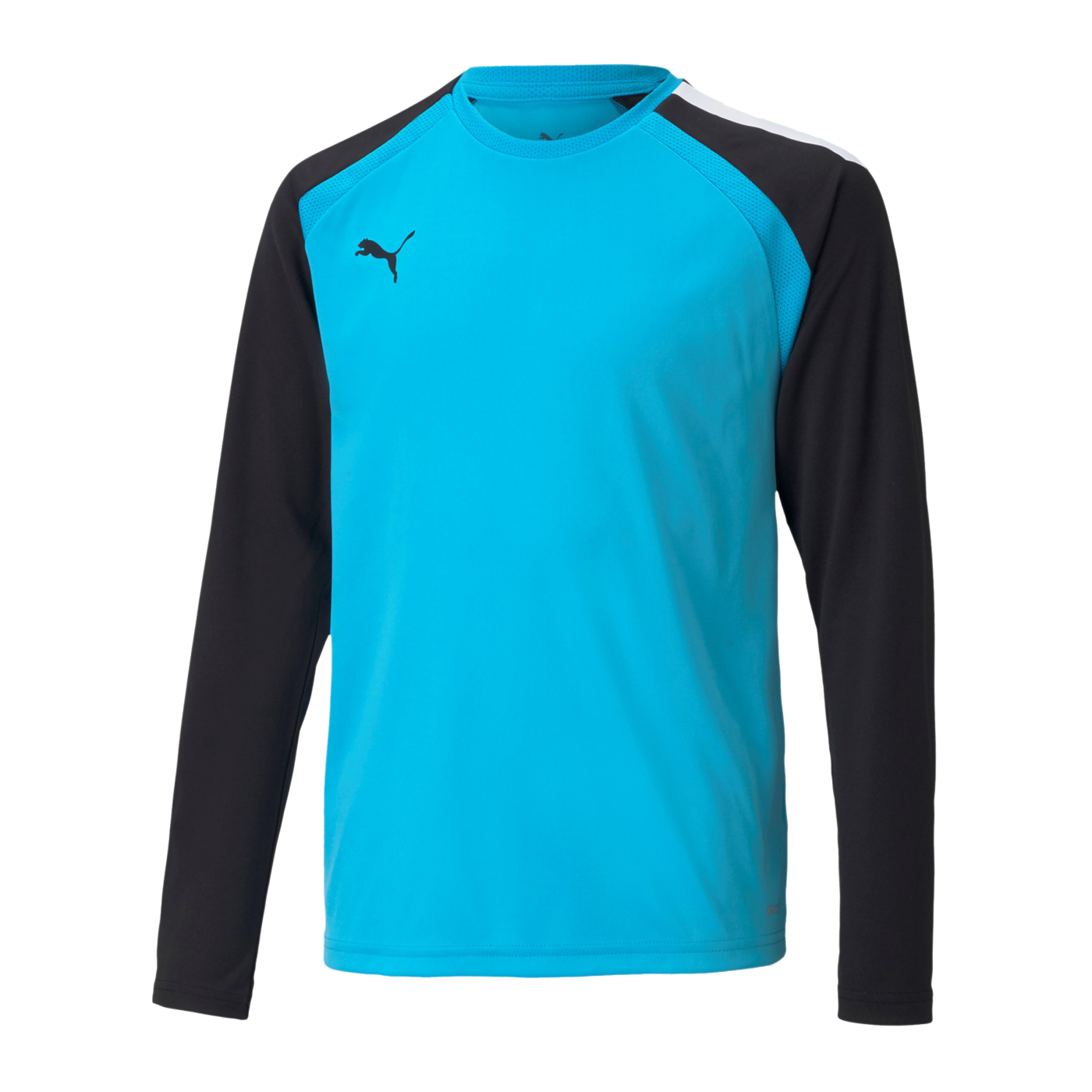 PUMA teamPACER Torwarttrikot langarm Kids F40