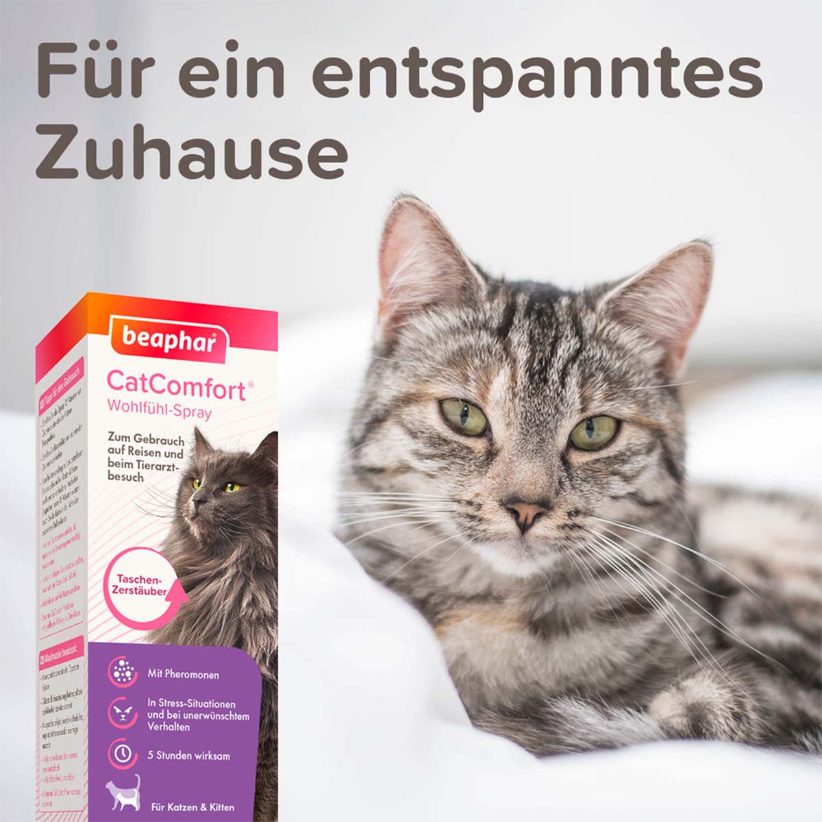 beaphar CatComfort Wohlfühl-Spray günstig kaufen