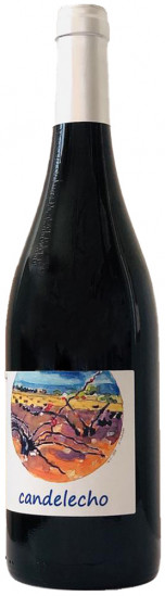 2021 Candelecho Gewürztraminer Tinaja 55 Castilla VT trocken - Bodegas César Velasco