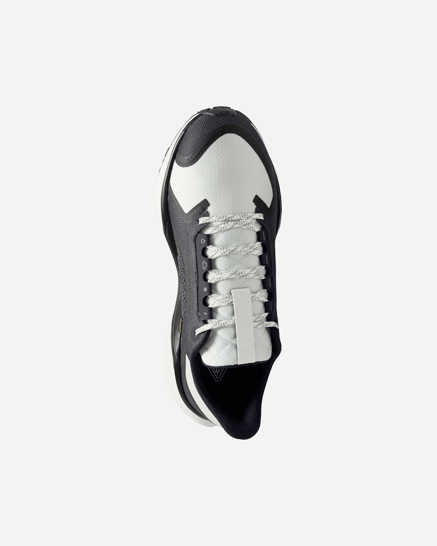 Bežecké topánky Nike Pegasus 41 Gore Tex W FQ1357-002