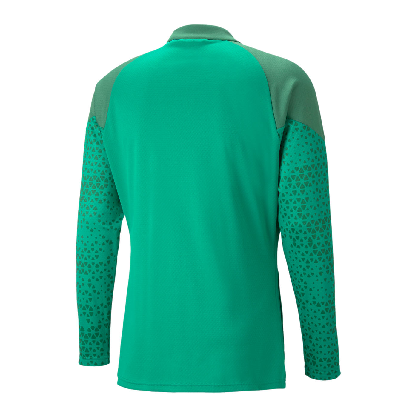 PUMA teamCUP Trainingsjacke Grün F05