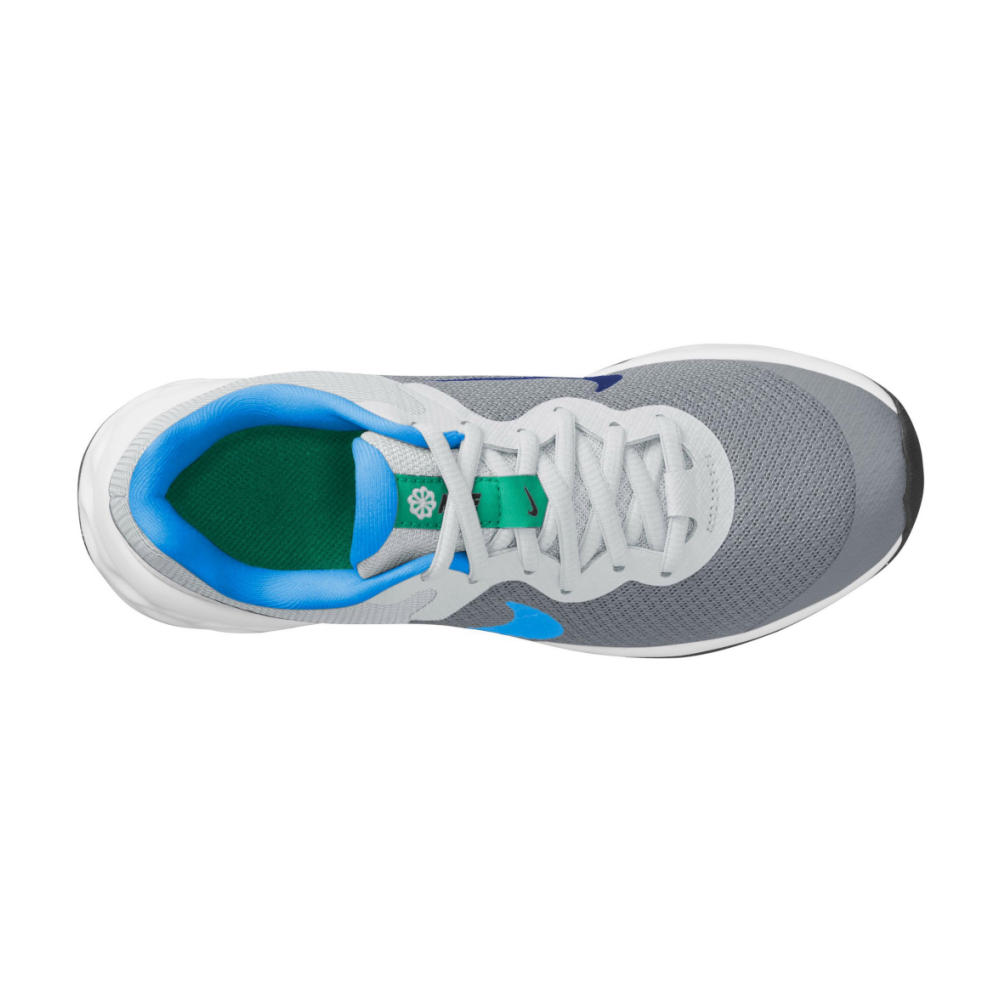 Nike Revolution 6 DD1096-008 / grau