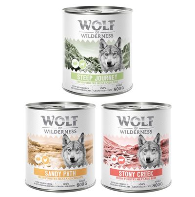 Wolf of Wilderness Adult 6 x 800 g - Mit viel frischem Geflügel