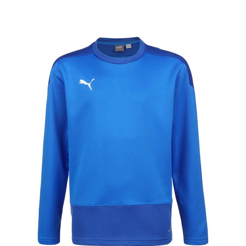 PUMA TeamGOAL 23 Funktionssweatshirt Jungen