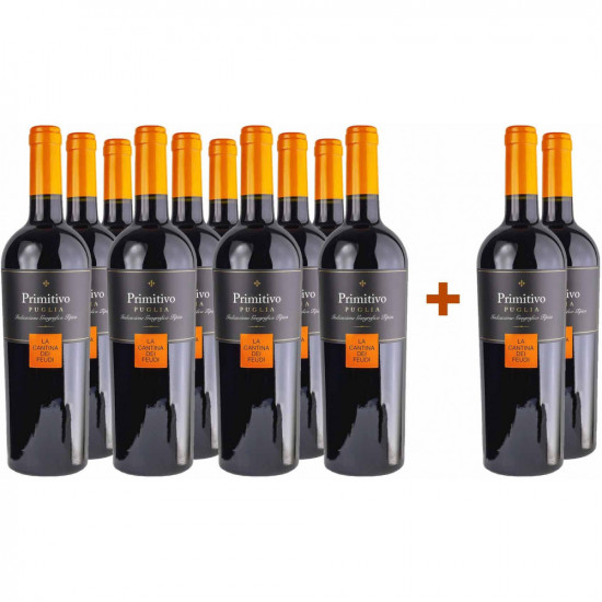10+2 Paket Primitivo Puglia IGP - La Cantina dei Feudi