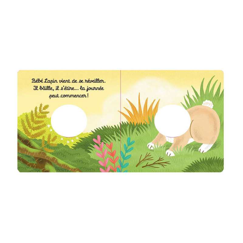 Livre Les bébêtes Bébé Lapin - Casterman