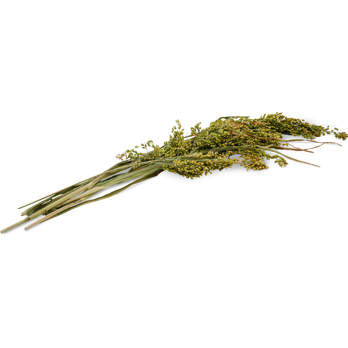 JR Farm Rispenhirse 400g günstig kaufen