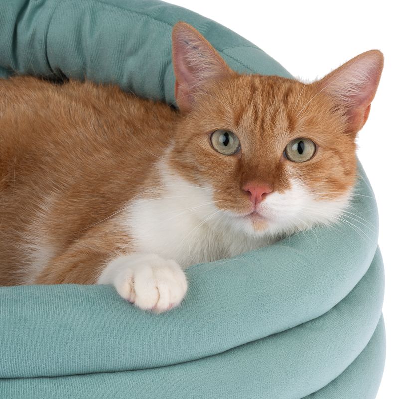 TIAKI Kuschelbett Poppy zu TOP-Preisen