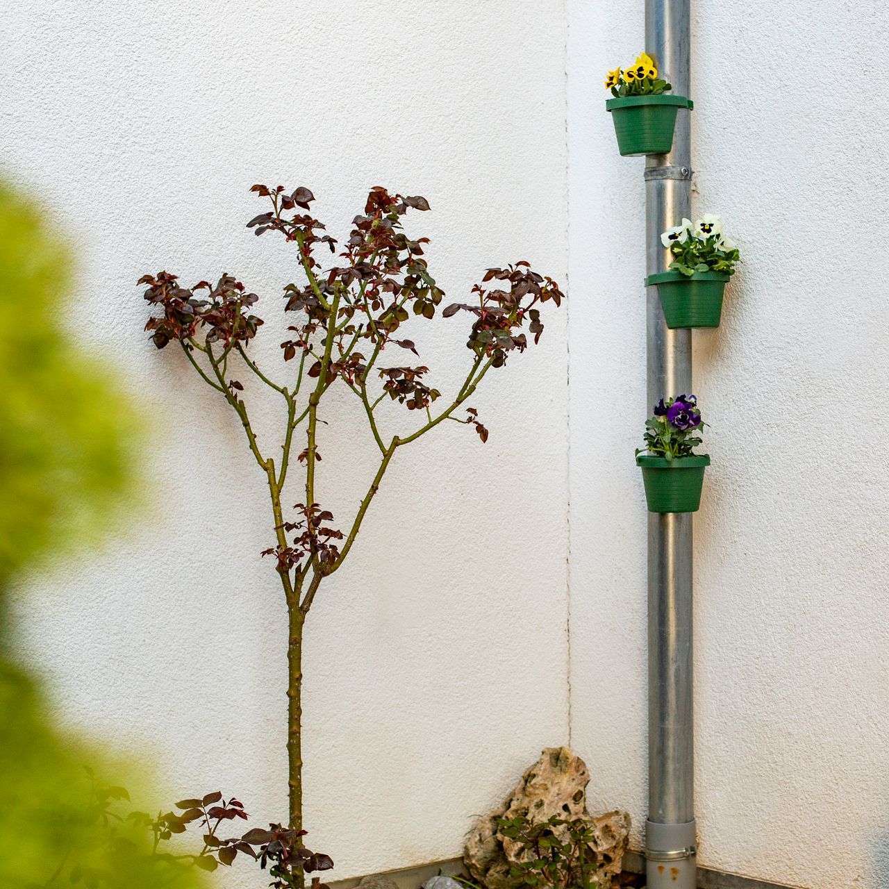 UPP Fallrohr-Blumentopf grün / Pflanztopf / Regenrohrgefäß / Kübel