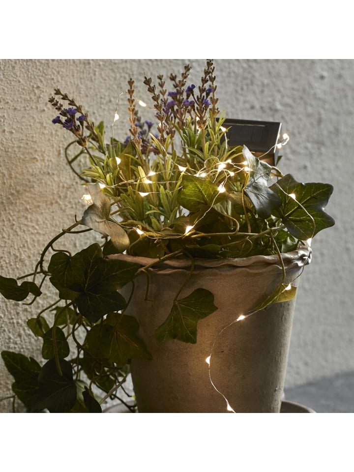 STAR Trading Solar LED-Lichterkette Dew Drop warmweiß (50 LEDs, Batterie) günstig kaufen onesize
