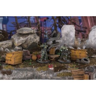 Fallout: Wasteland Warfare - Super Mutants: Fist & Overlord (EN)