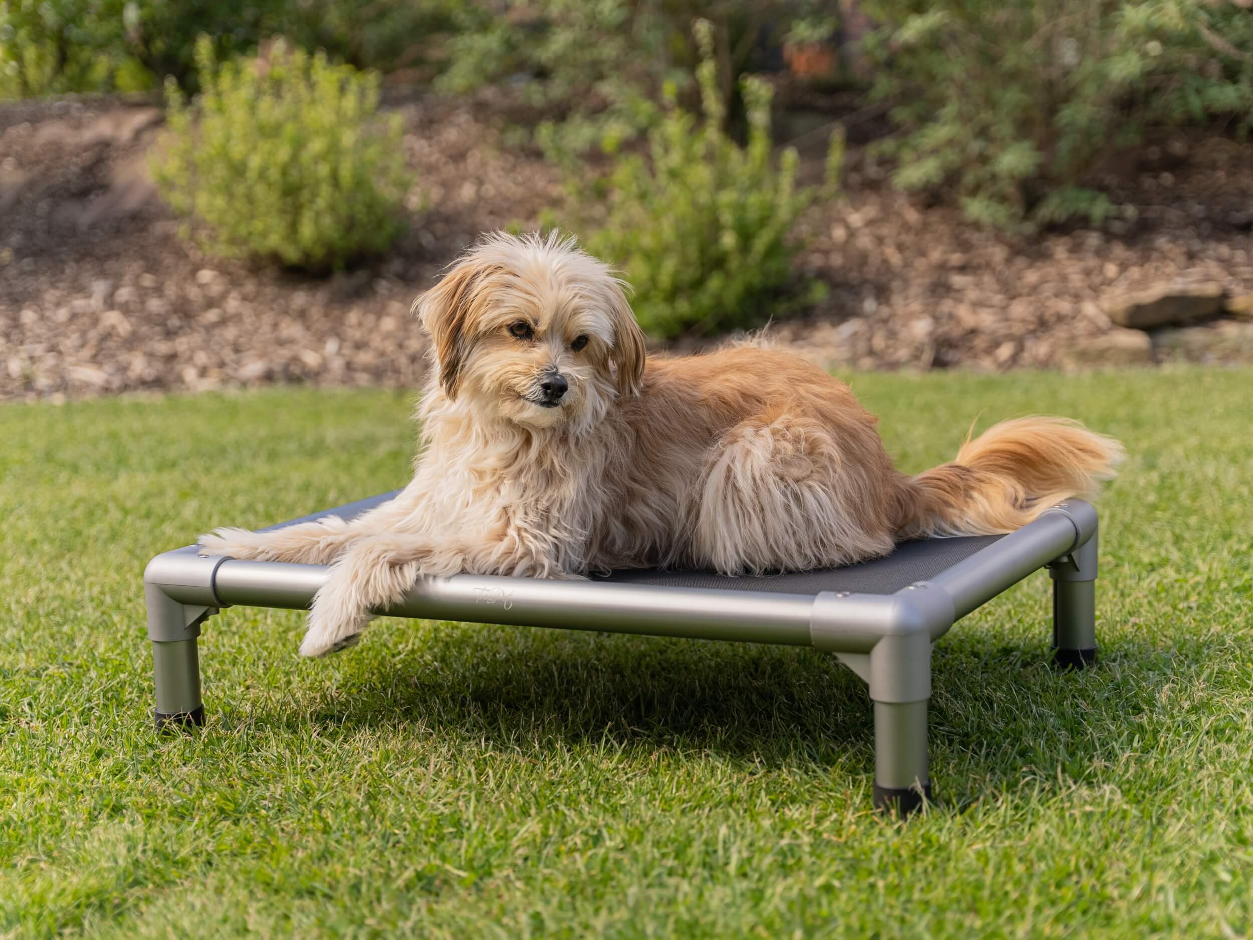 TrendPet Hundebetten TrendPet HighBed Hochbett für Hunde grau L