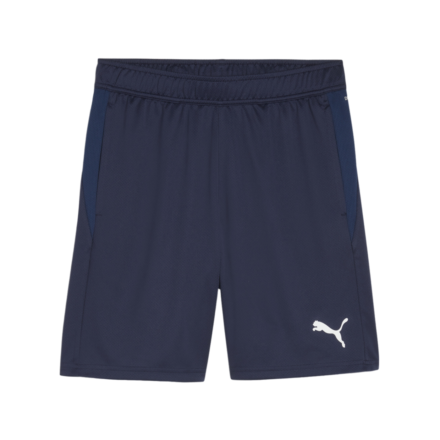 PUMA teamGOAL Training Shorts Blau F06