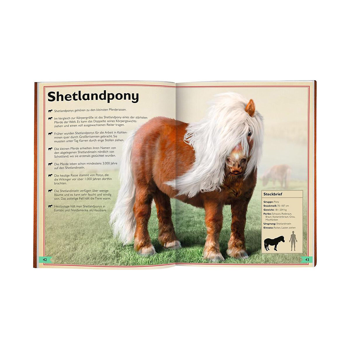 Das Riesenbuch der Pferde und Ponys