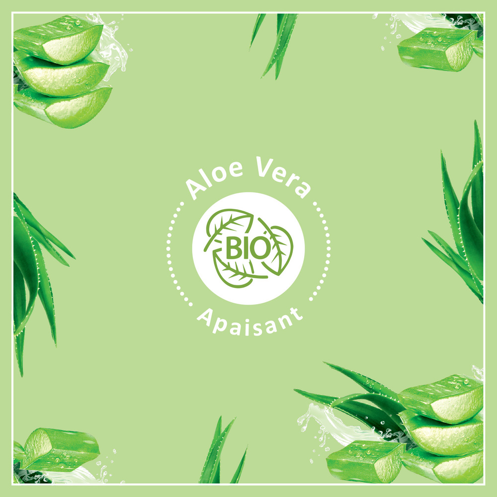 le petit marseillais Lait Corps Hydratant à l'Aloe Vera pourPeaux Sèches Bio 250 ml Lait corps