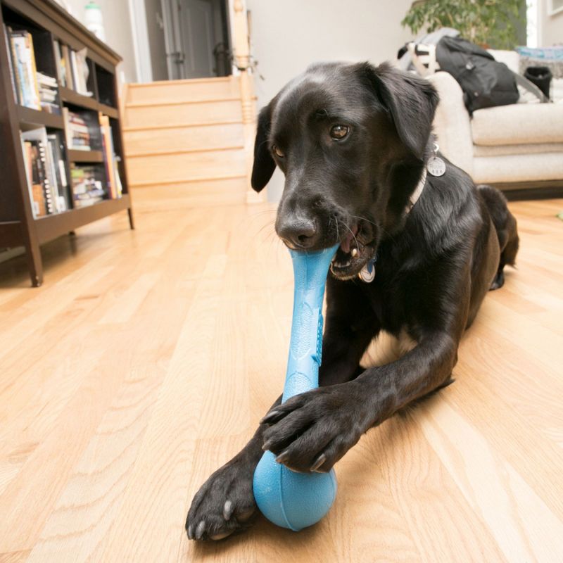 KONG SqueakStix zu TOP-Preisen