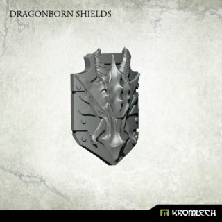 Dragonborn Shields (5)