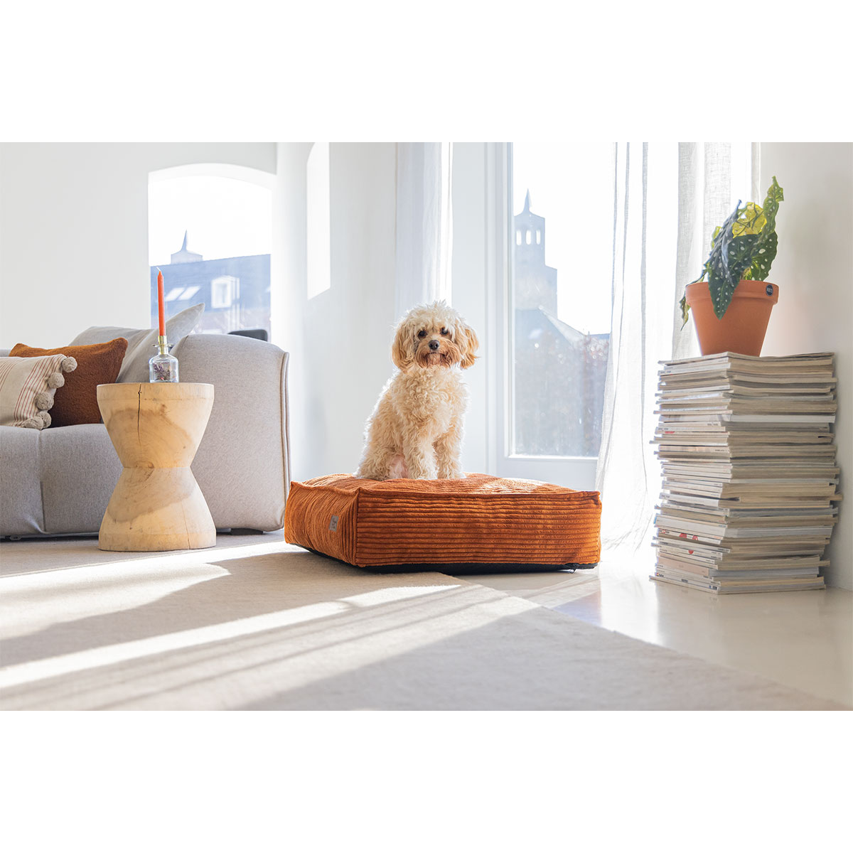 Designed by Lotte Hundekissen Ribbed Terrakotta bei ZooRoyal