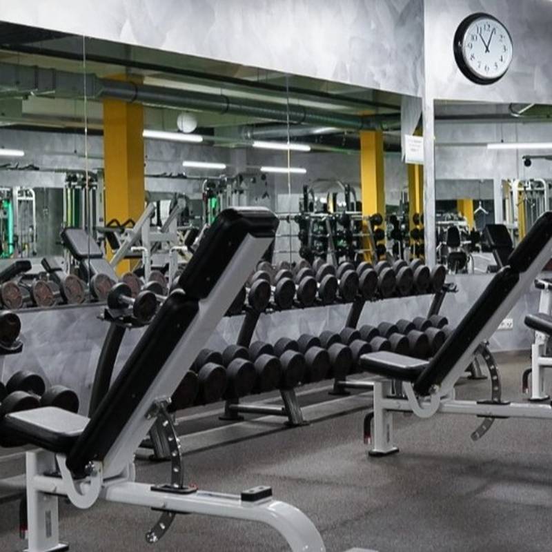Erlebnis Fitness Future Neustadt Studioticket