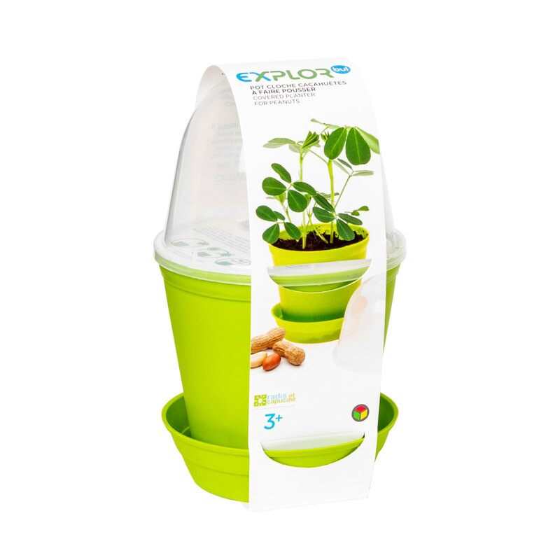 Pot cloche cacahuètes à faire pousser