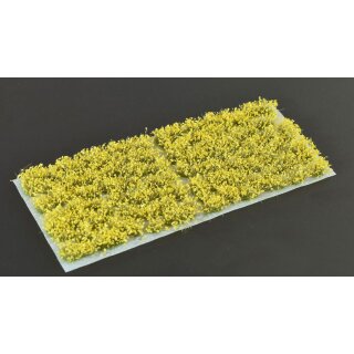 Yellow Flowers