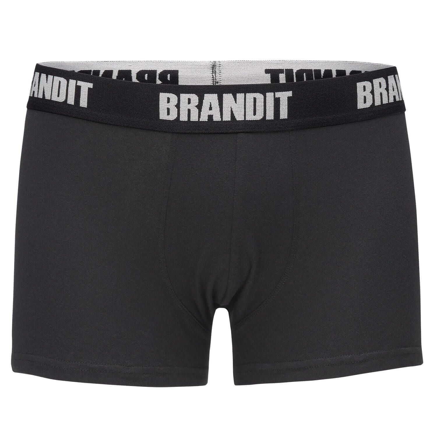 Boxershorts Logo 2er Pack