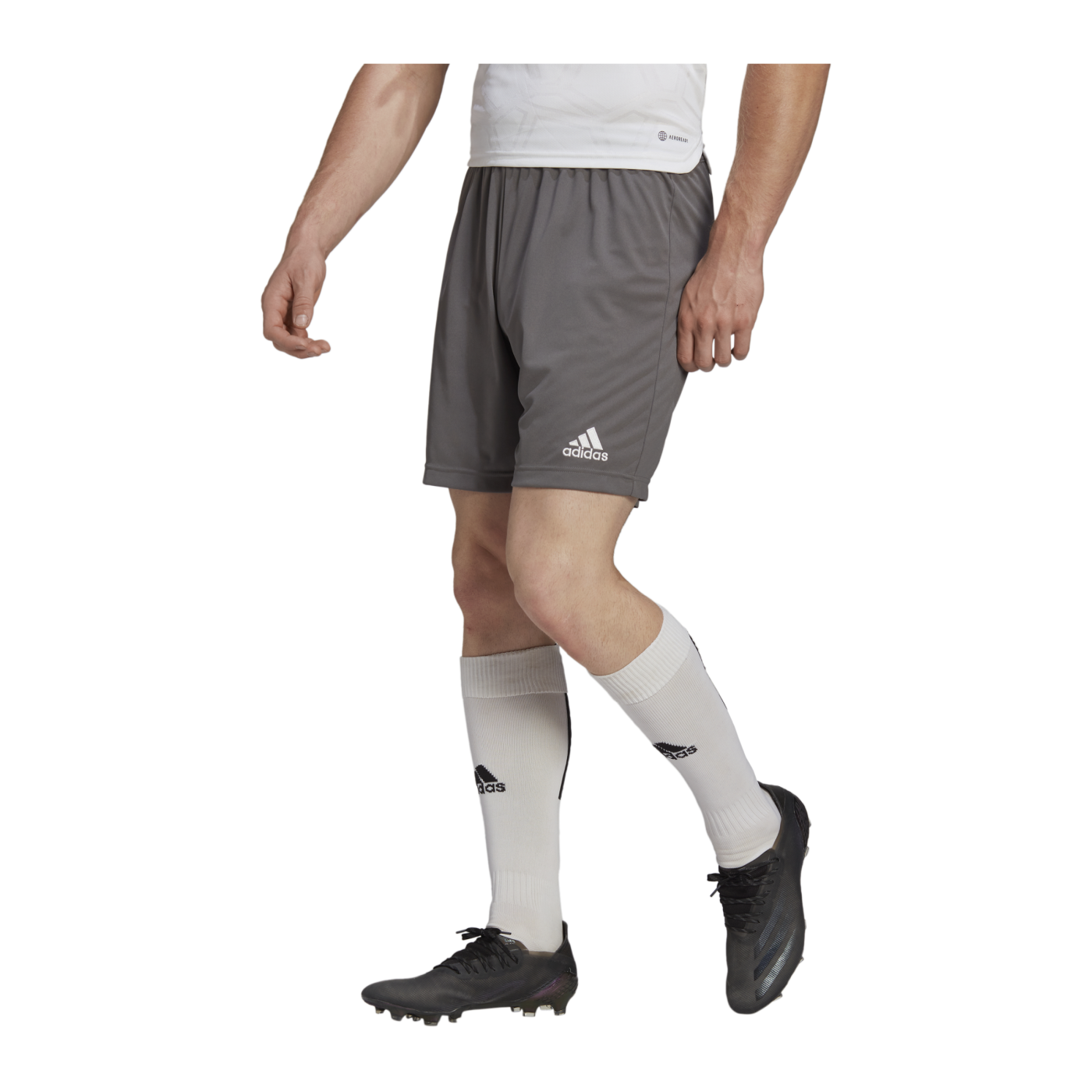 adidas Entrada 22 Short Grau