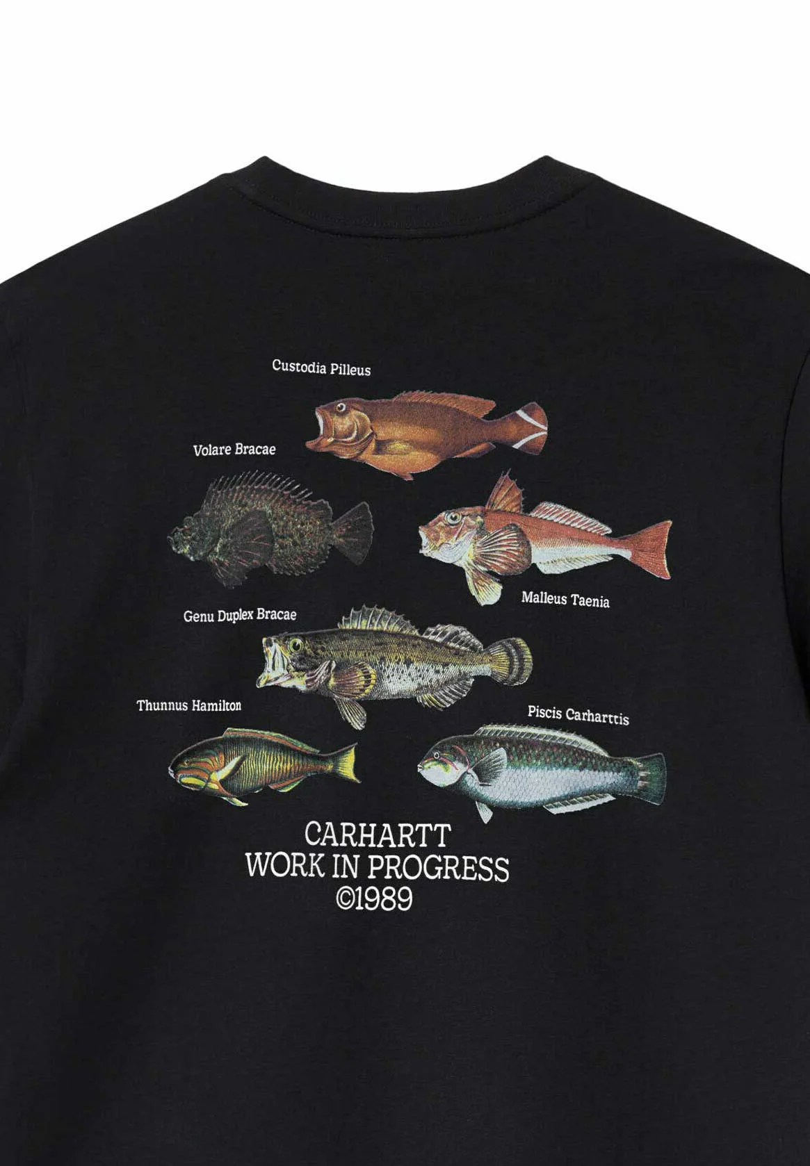 Carhartt WIP FISH - Camiseta con estampado
