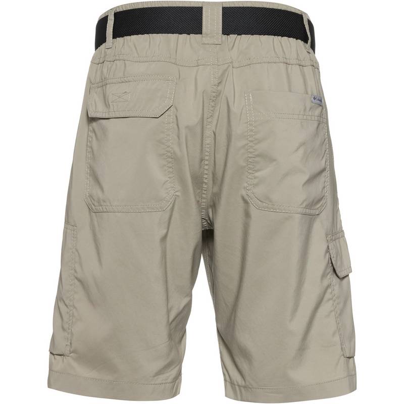 Columbia Silver Ridge Cargoshorts Herren