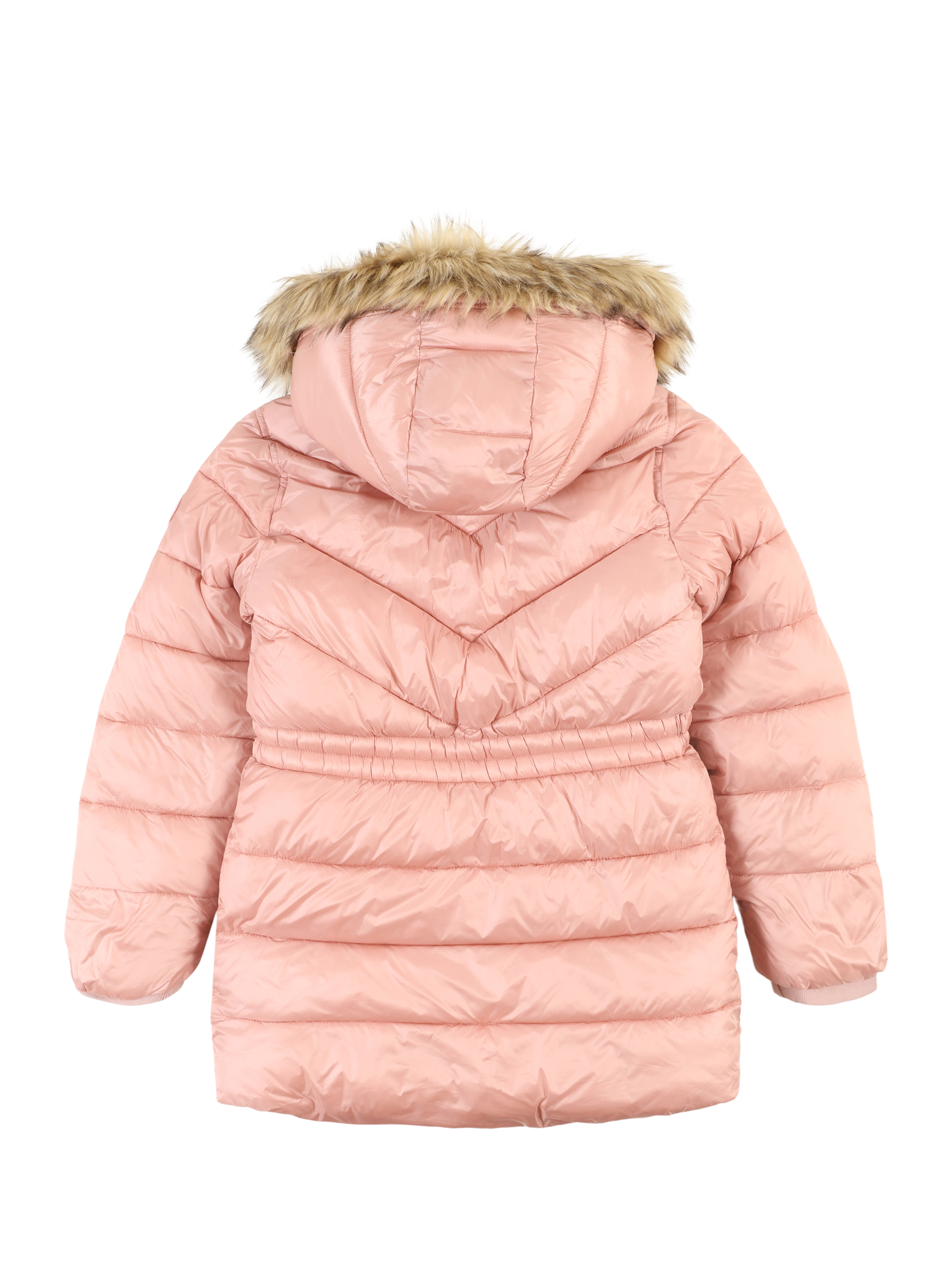 Winter Jacket